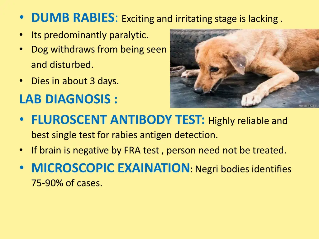 dumb rabies exciting and irritating stage
