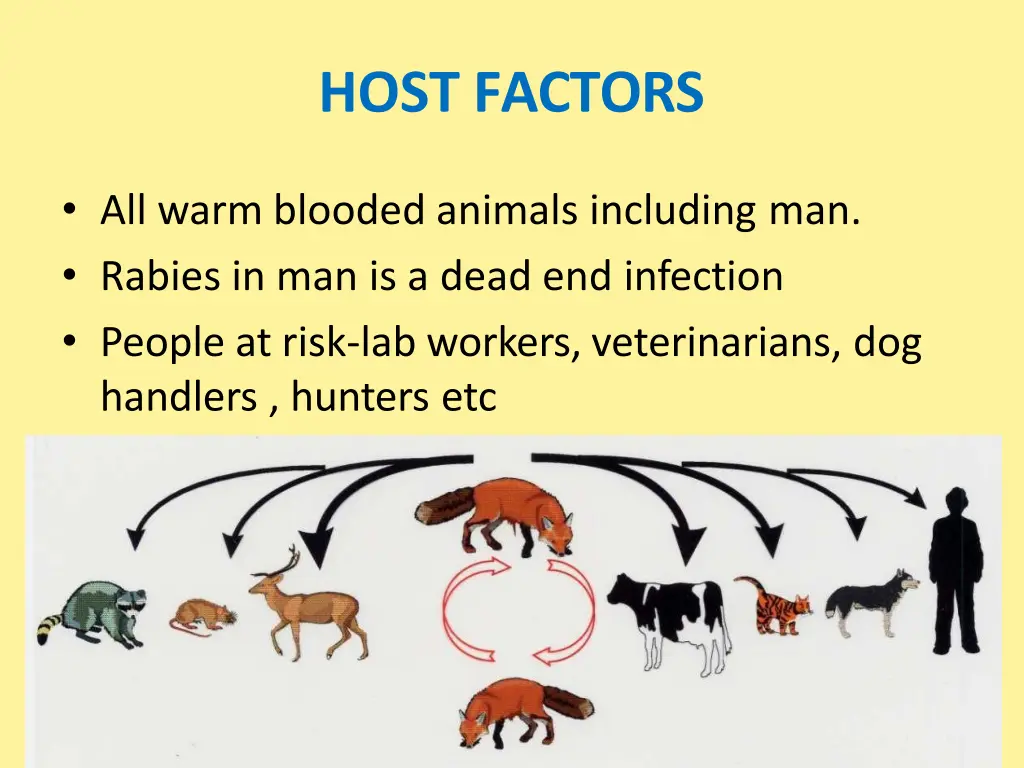host factors