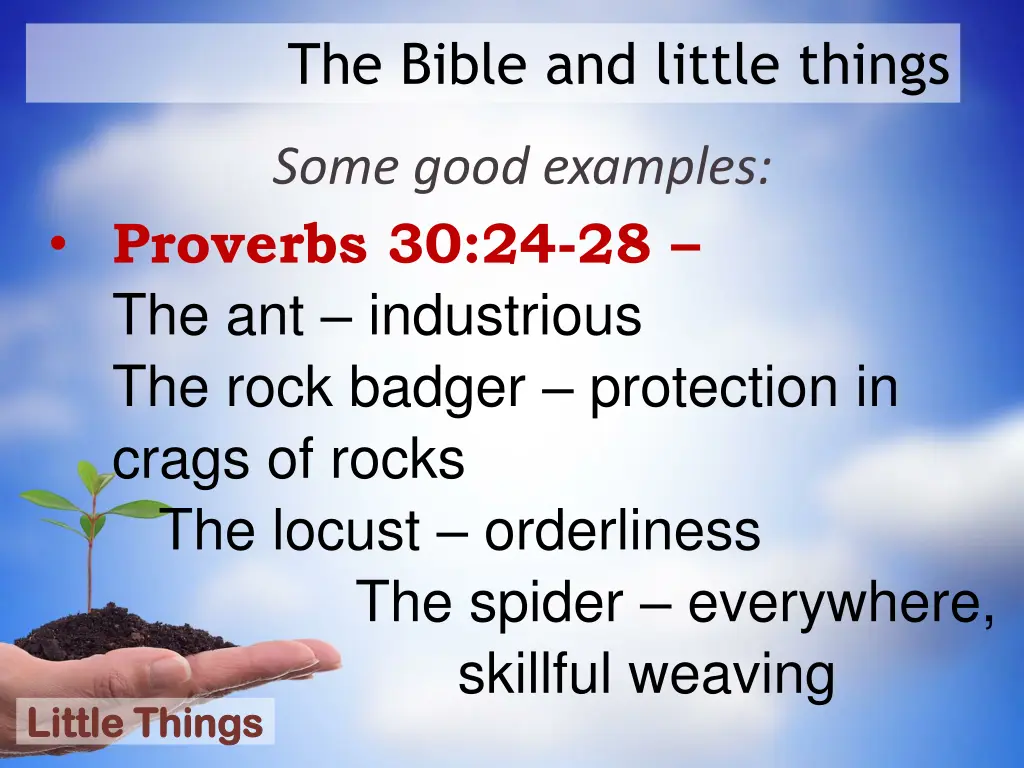 the bible and little things 8