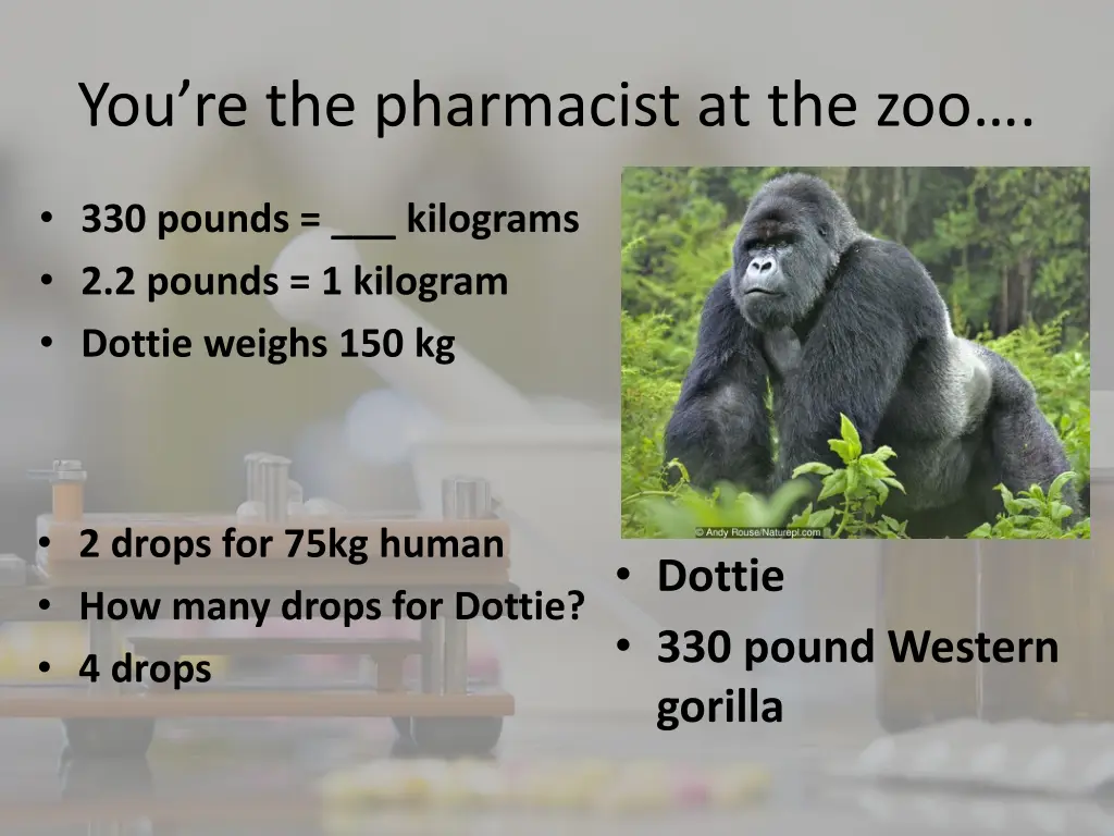 you re the pharmacist at the zoo 4