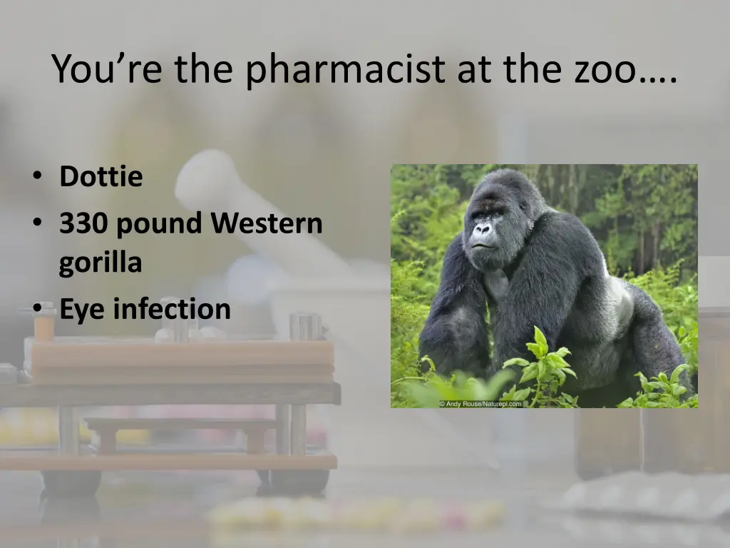 you re the pharmacist at the zoo