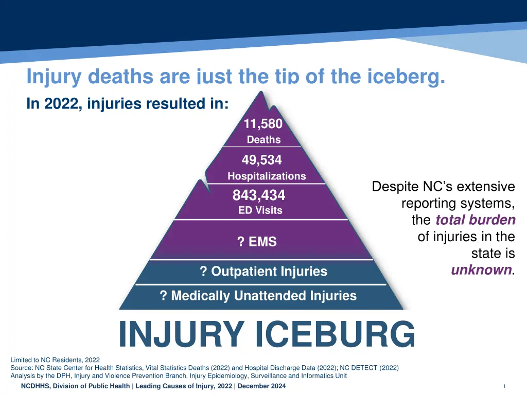 injury deaths are just the tip of the iceberg