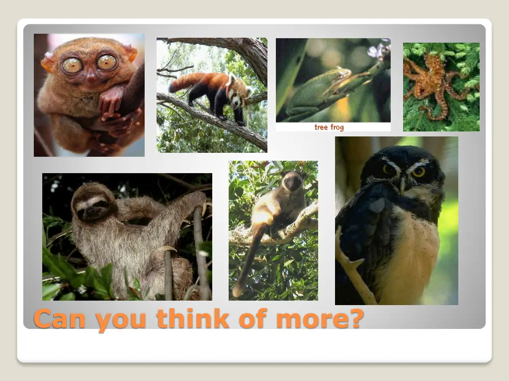 can you think of more