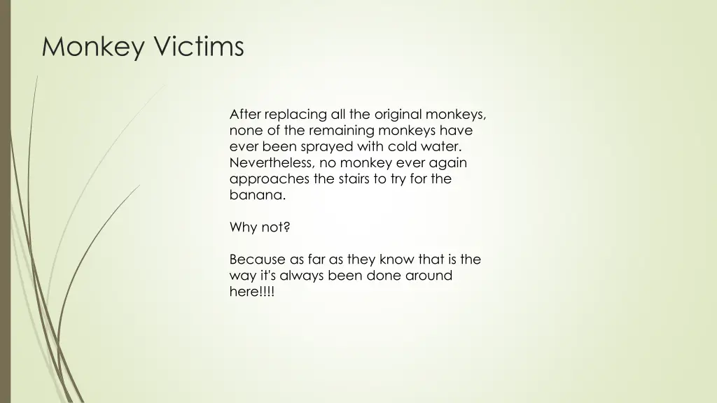 monkey victims