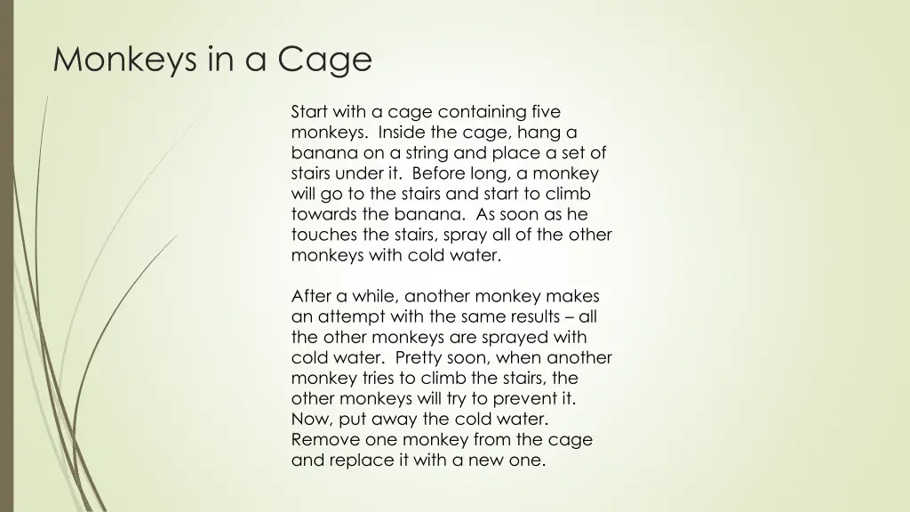 monkeys in a cage