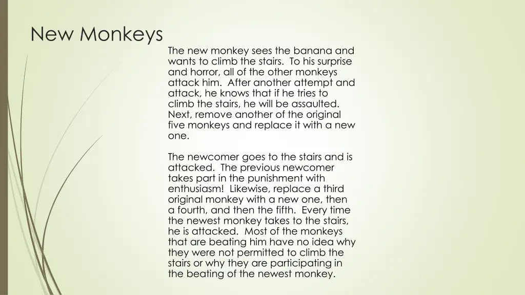 new monkeys