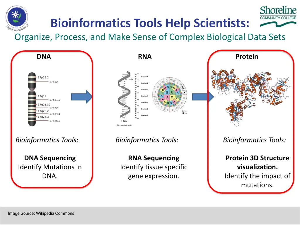 bioinformatics tools help scientists organize