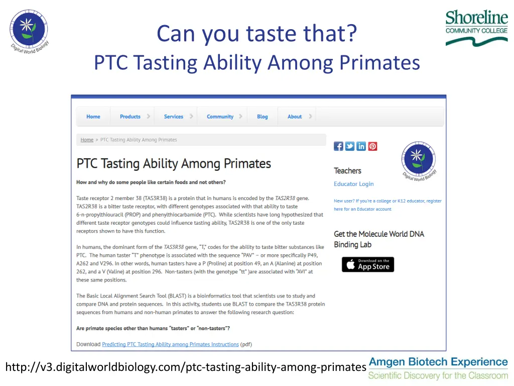 can you taste that ptc tasting ability among