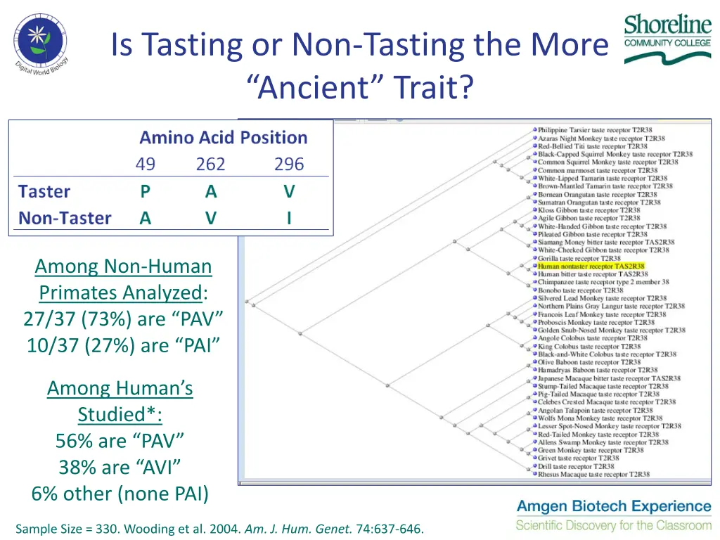 is tasting or non tasting the more ancient trait