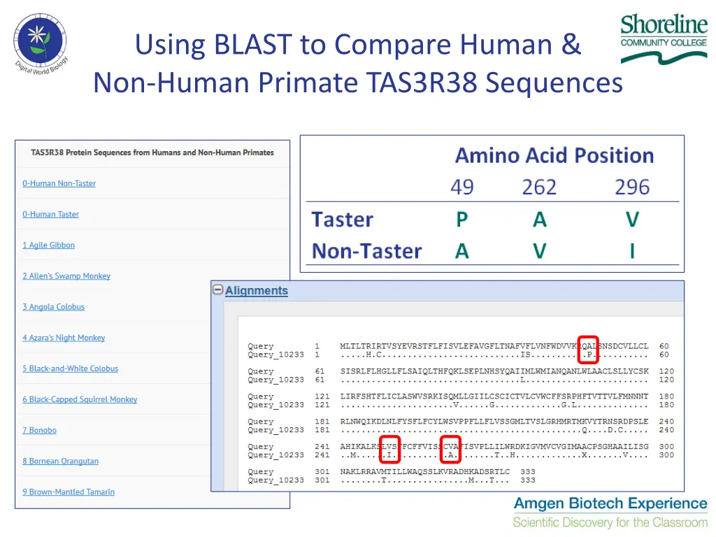 using blast to compare human non human primate