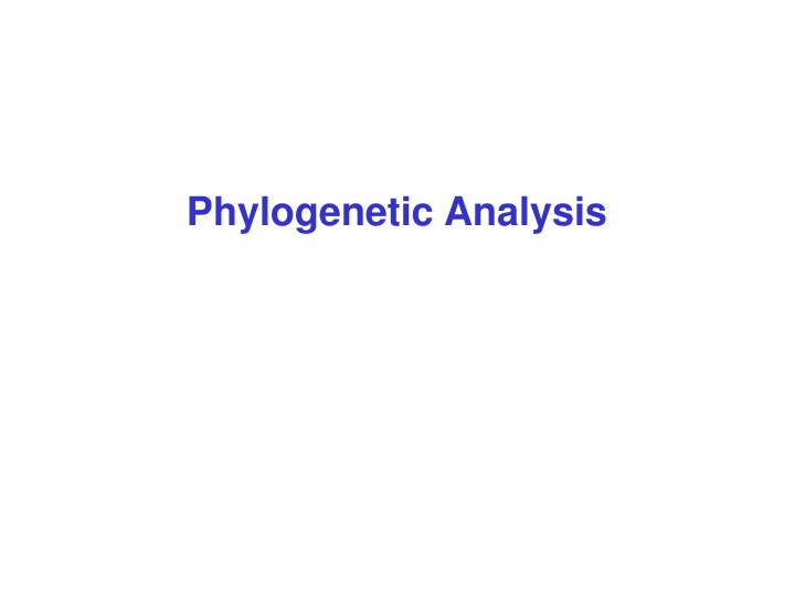 phylogenetic analysis