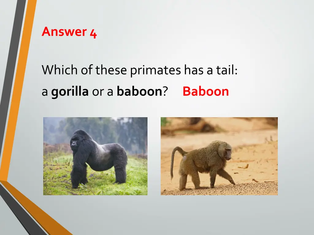 answer 4