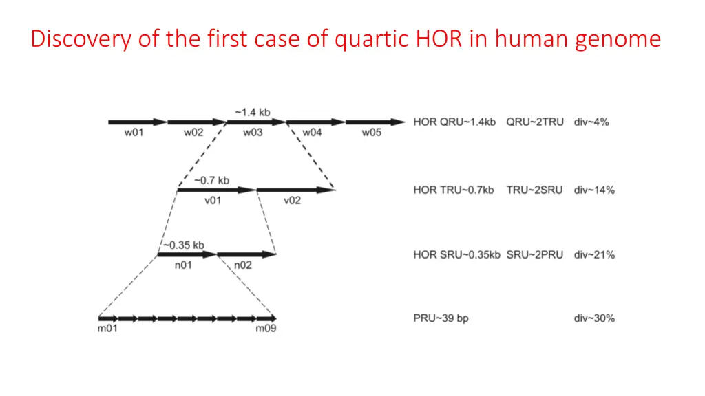 discovery of the first case of quartic 2