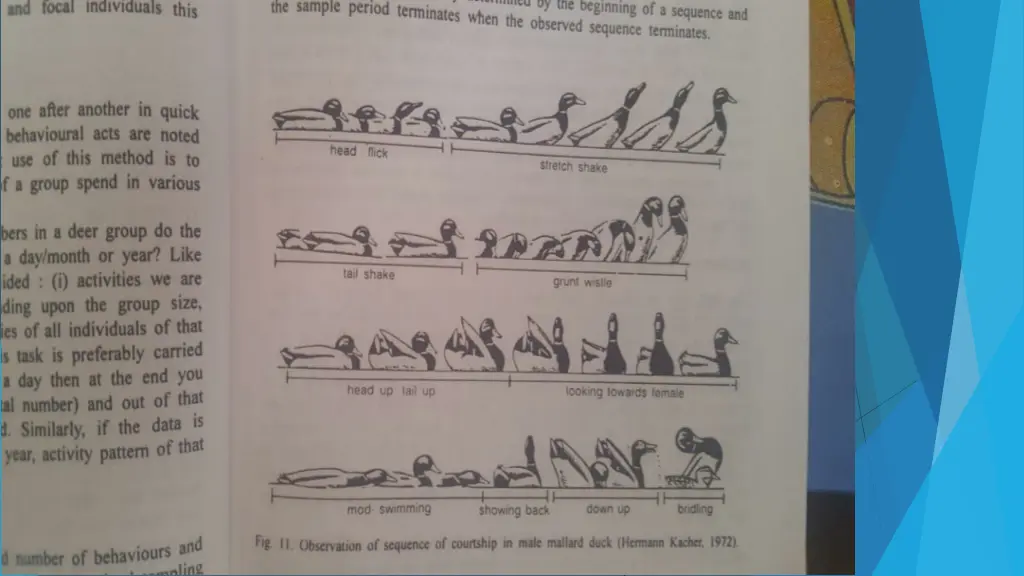 slide9