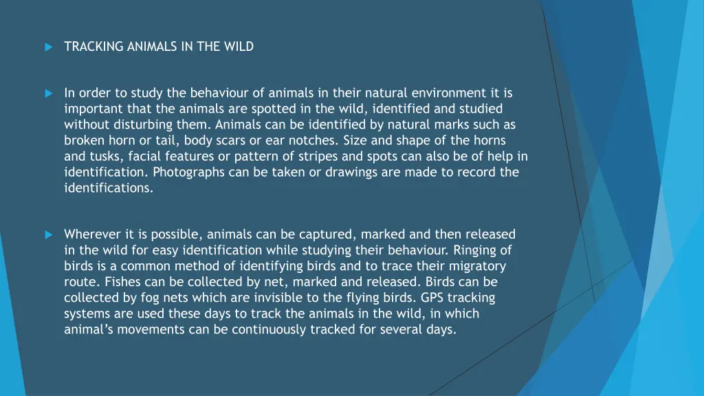 tracking animals in the wild