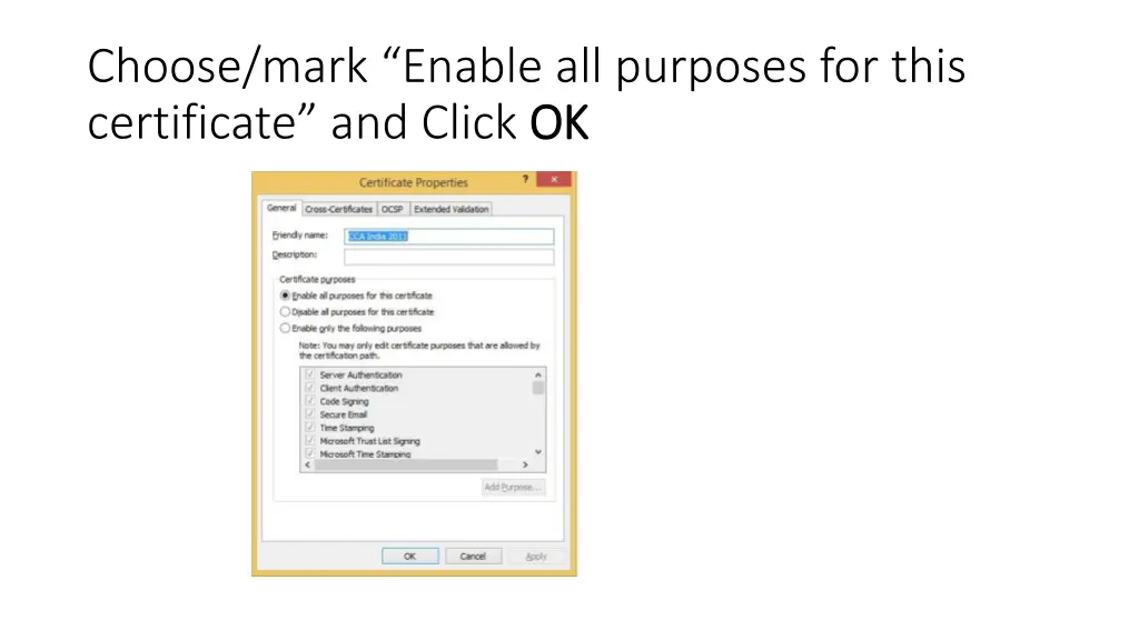 choose mark enable all purposes for this