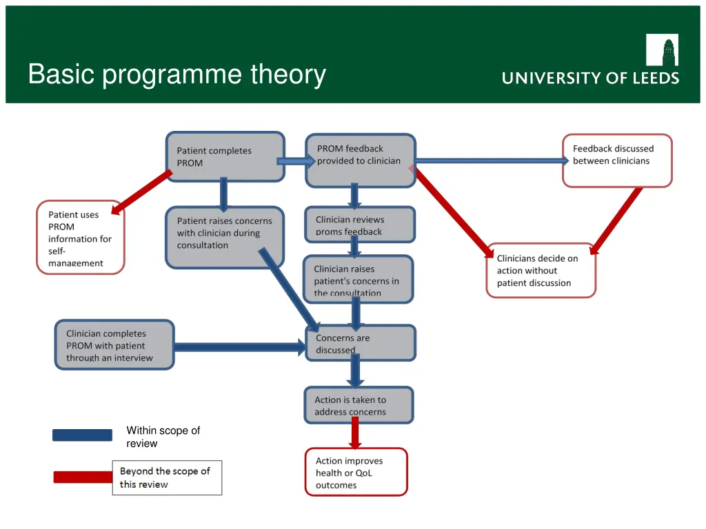 basic programme theory