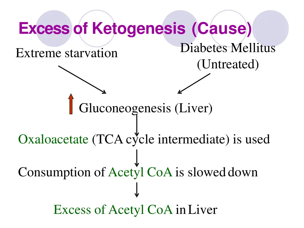 excess of ketogenesis cause