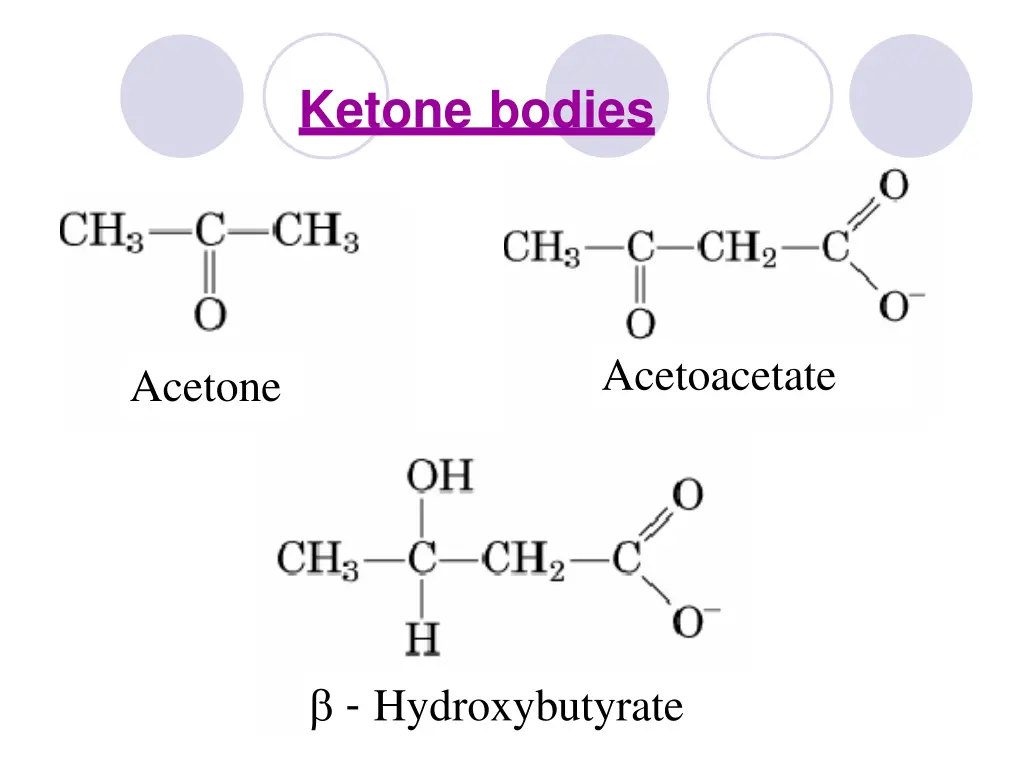 ketone bodies