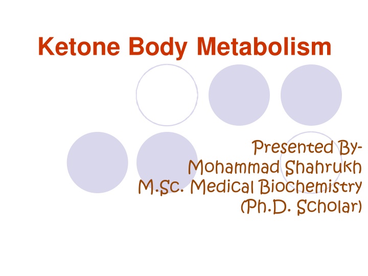 ketone body metabolism