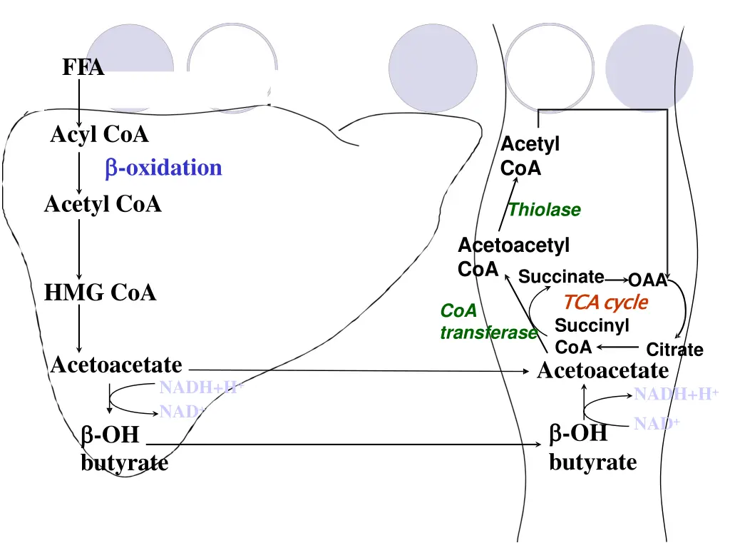slide25