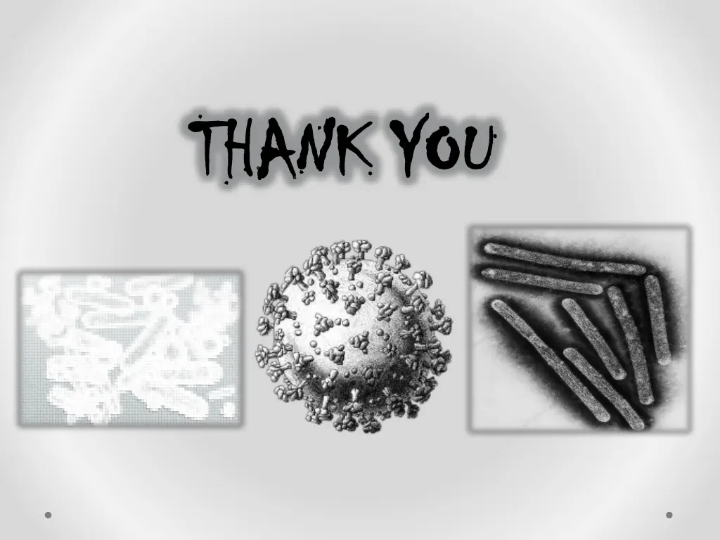 thank you thank you