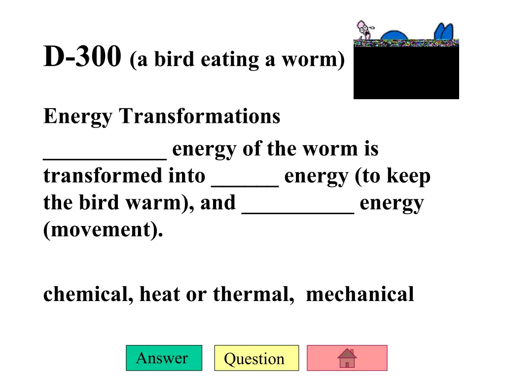 d 300 a bird eating a worm energy transformations