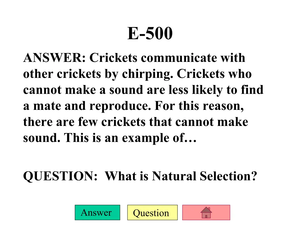 e 500