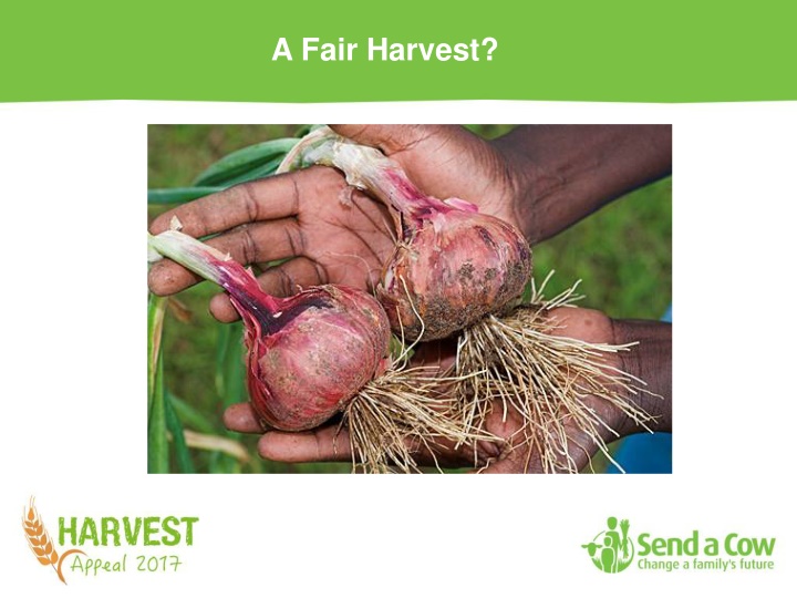 a fair harvest