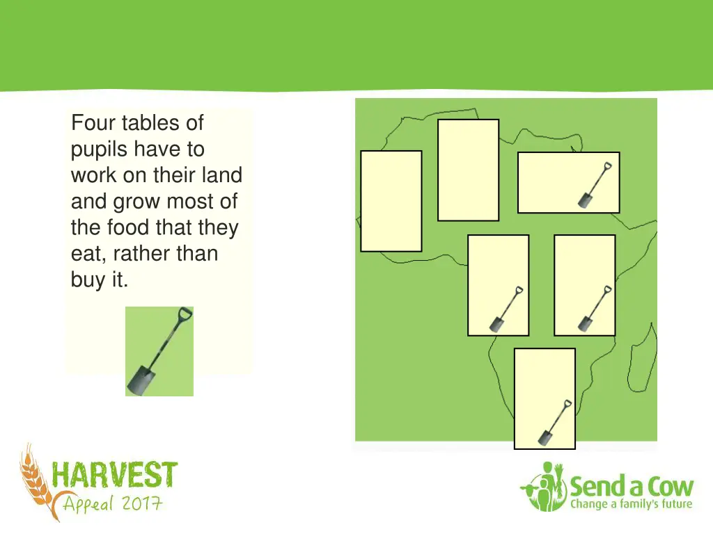four tables of pupils have to work on their land