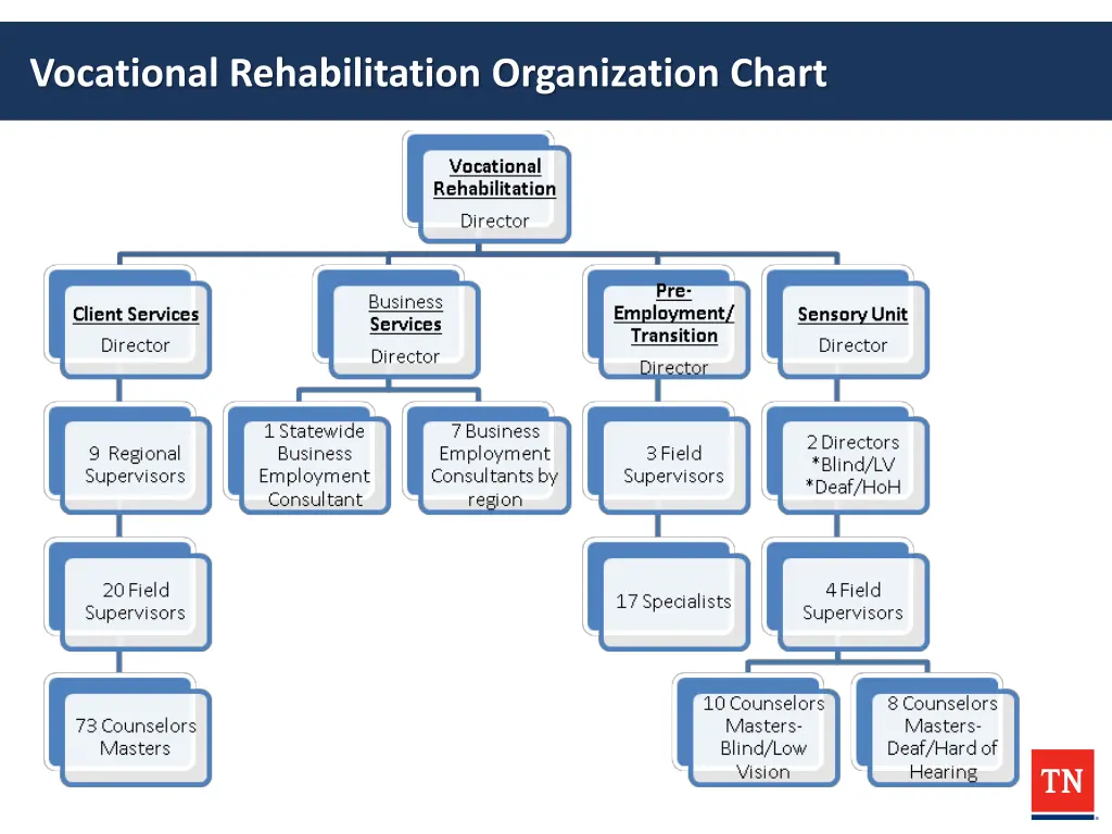 vocational rehabilitation organization chart