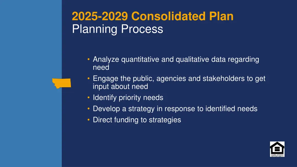 2025 2029 consolidated plan planning process