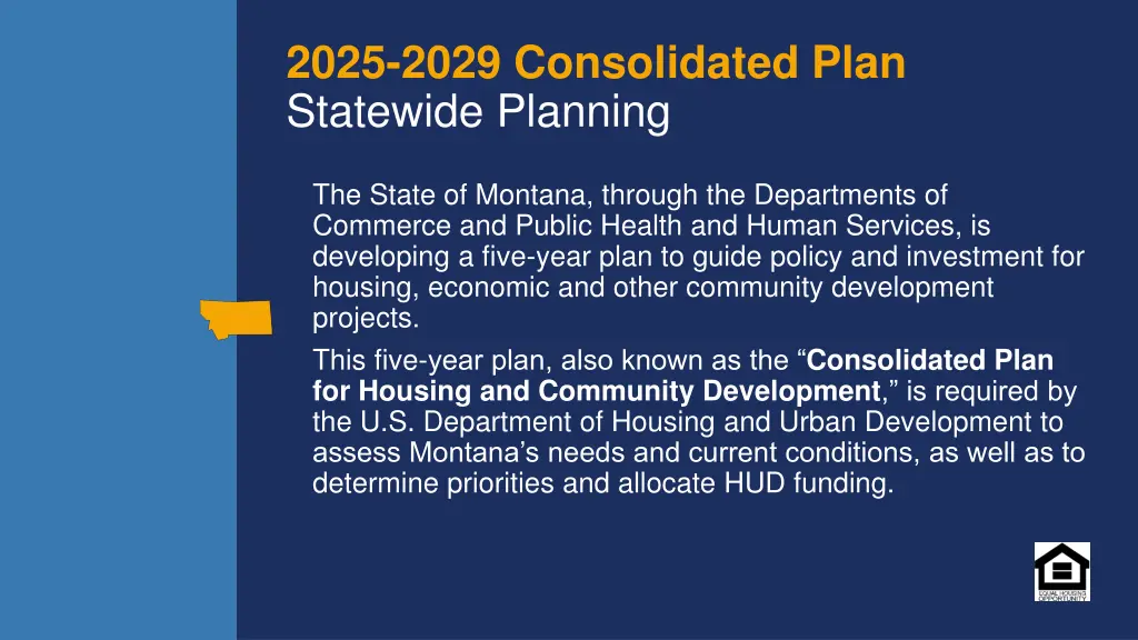 2025 2029 consolidated plan statewide planning