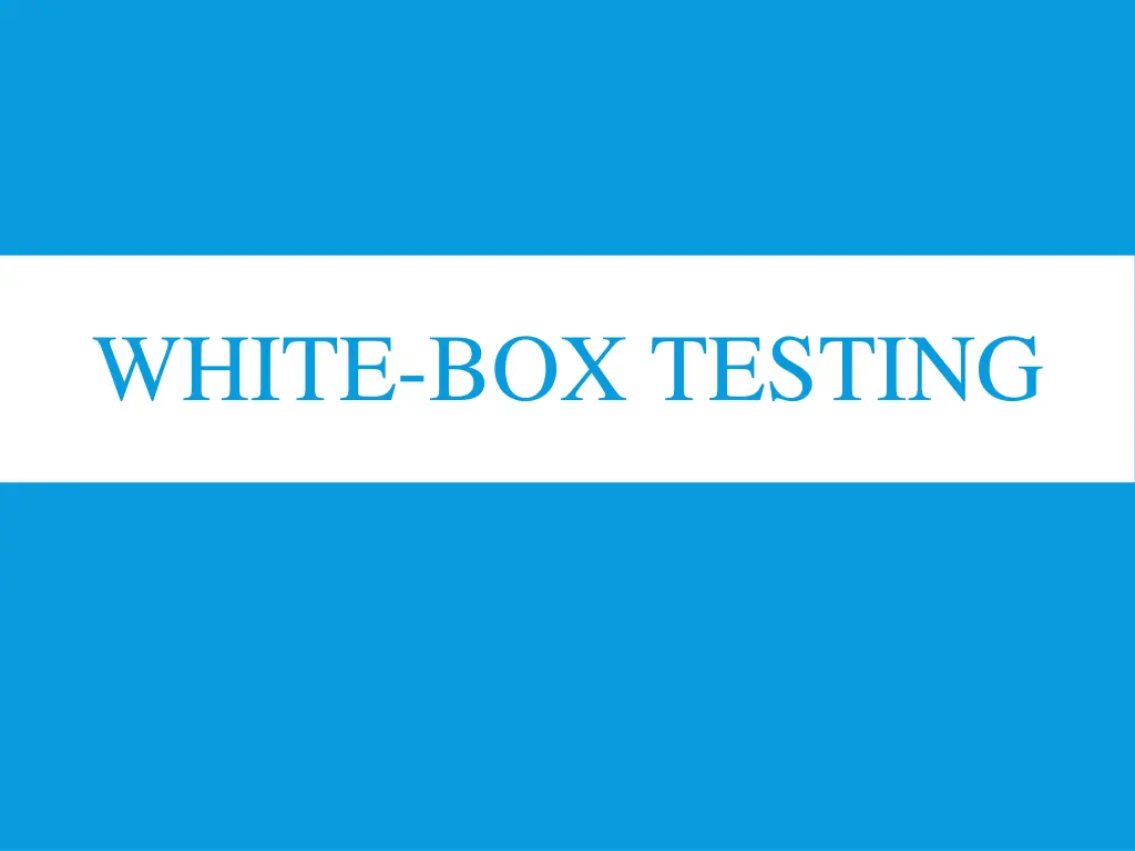 white box testing