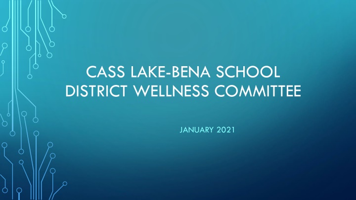 cass lake bena school district wellness committee