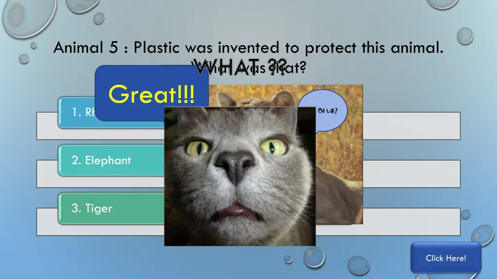 animal 5 plastic was invented to protect this