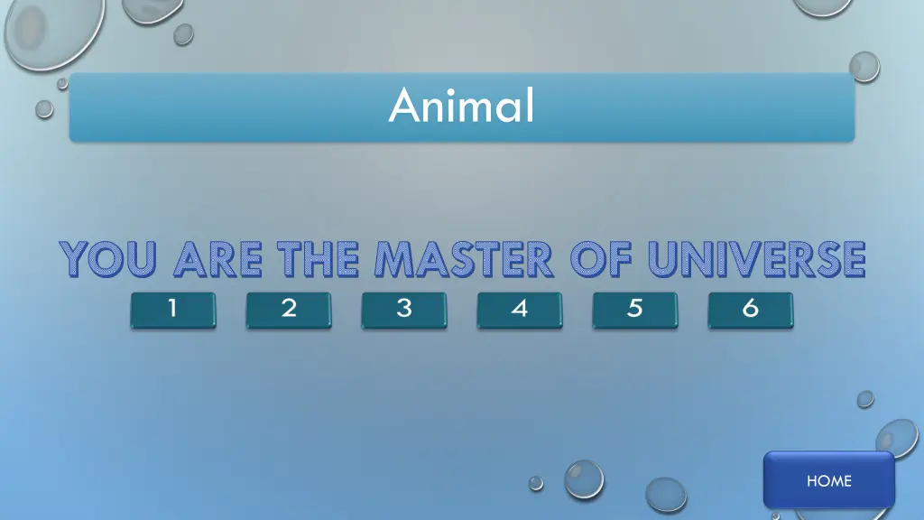 animal