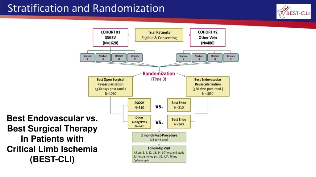 stratification and randomization