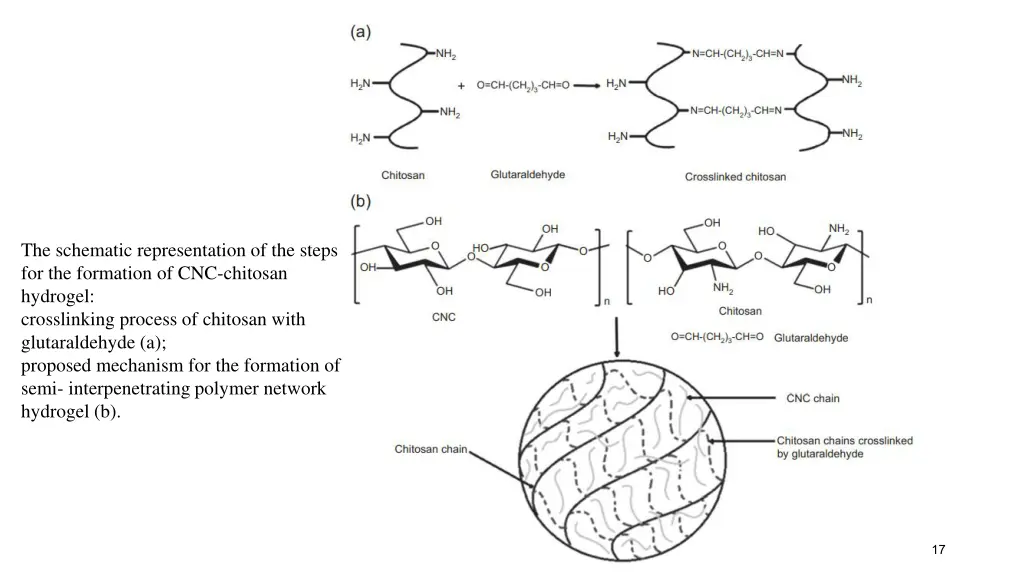 the schematic representation of the steps