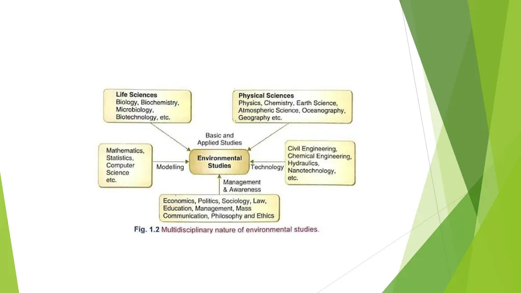 slide11
