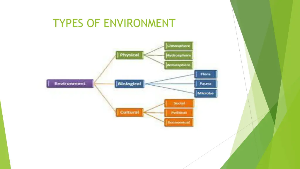 types of environment