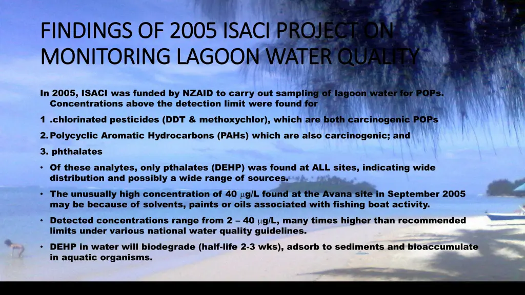 findings of 2005 isaci project on findings