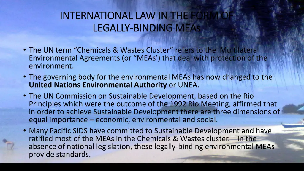 international law in the form of international