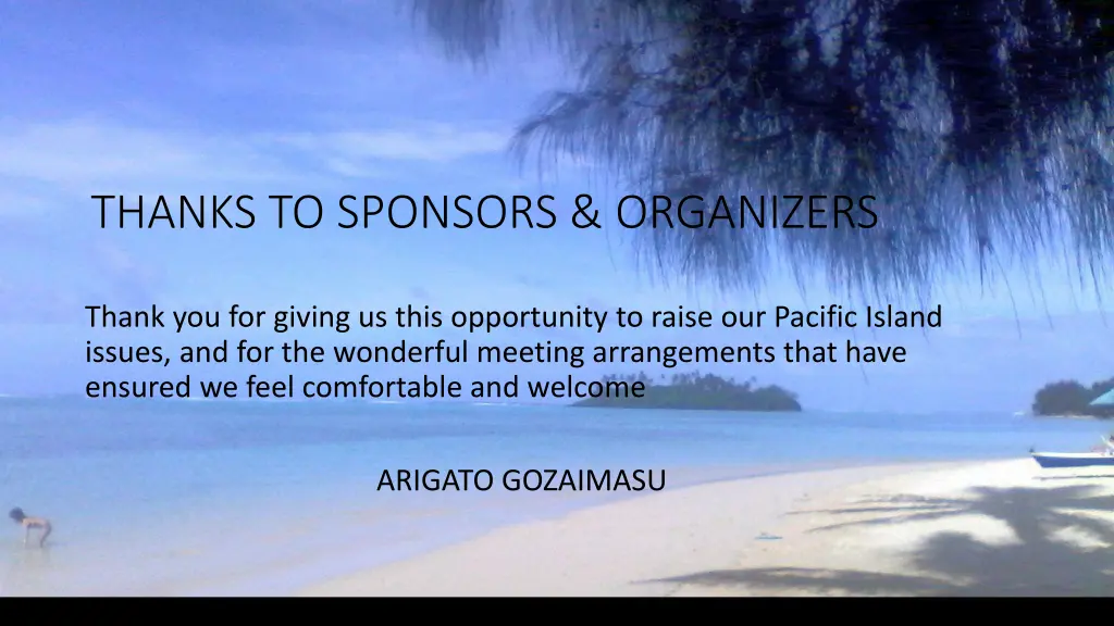 thanks to sponsors organizers