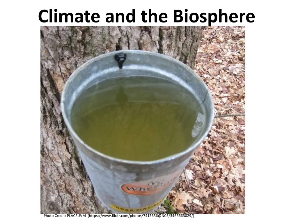 climate and the biosphere 1