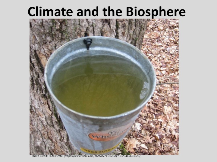 climate and the biosphere