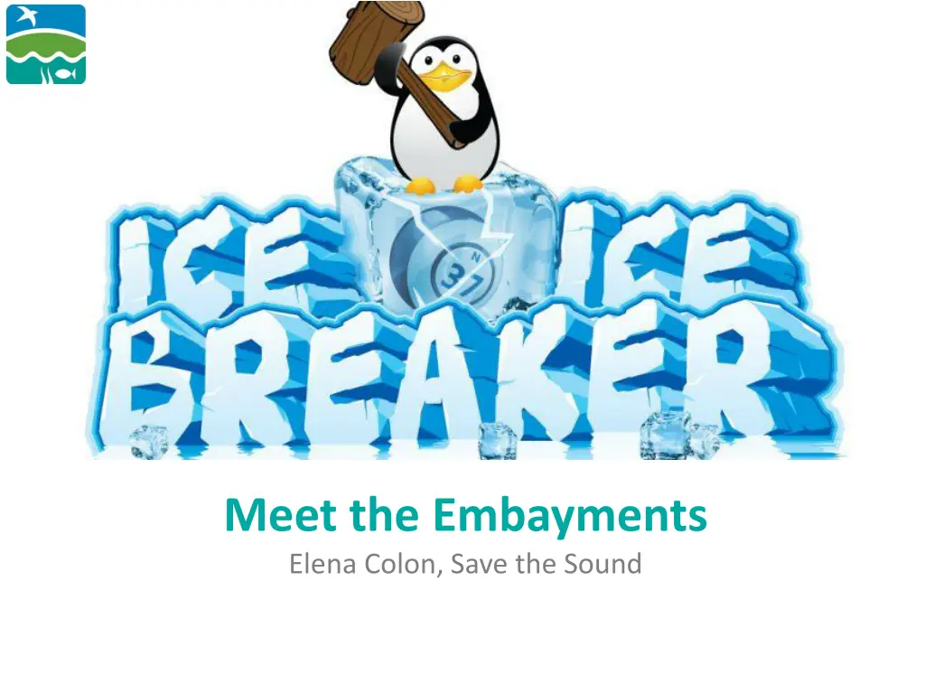 meet the embayments elena colon save the sound