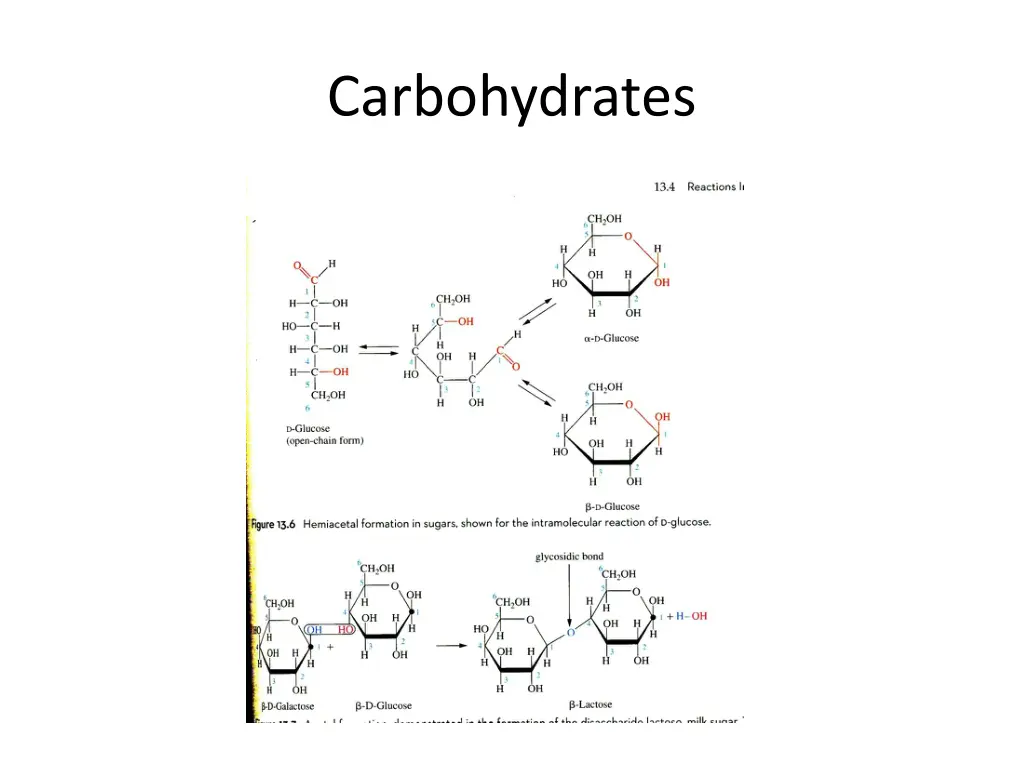 carbohydrates