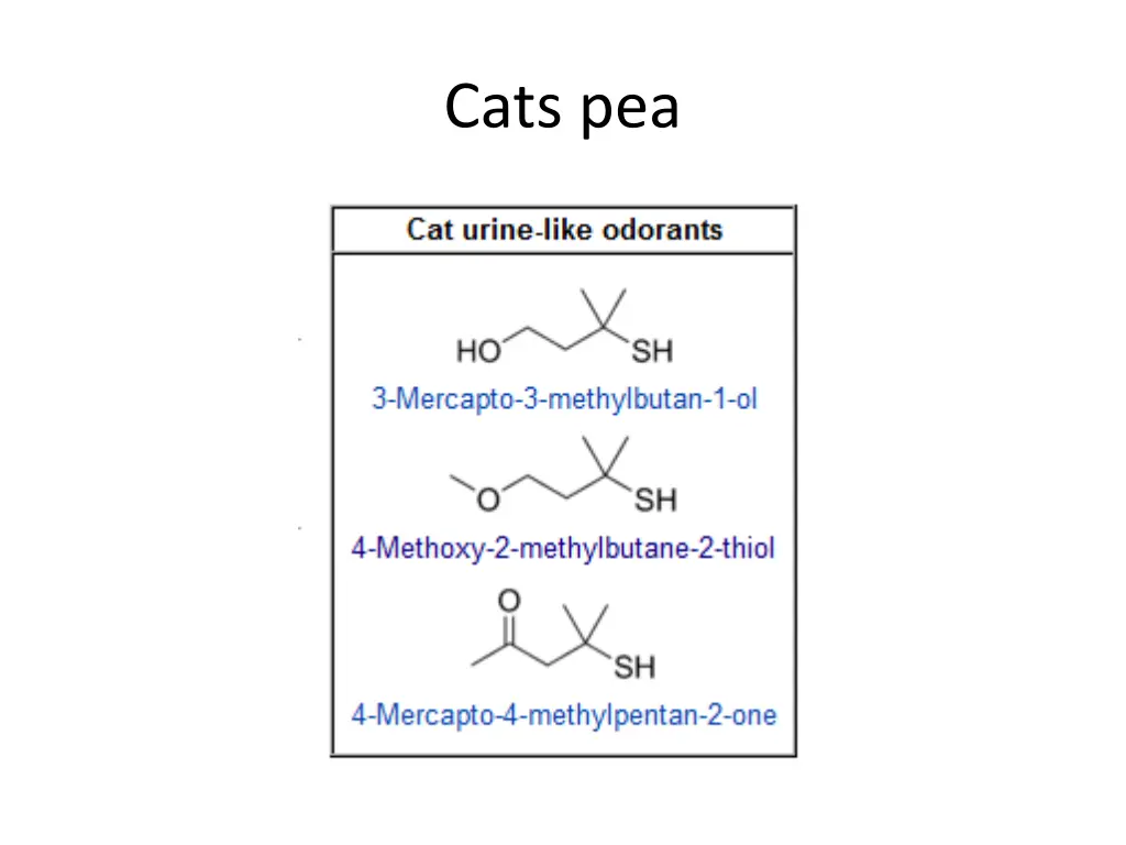 cats pea
