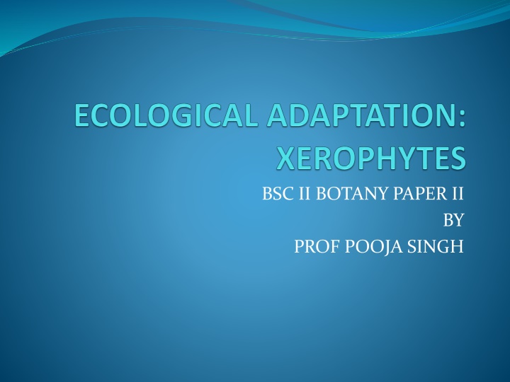 bsc ii botany paper ii